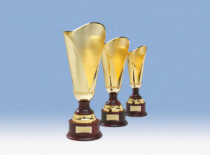 Gold Trophies with Wooden Bases. Sydney Supplier