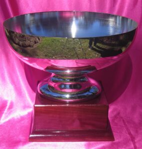 Engravable Trophy Cups for Horse & Greyhound Racing, Sports & School events