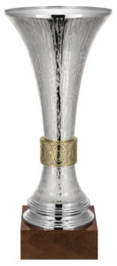 Silver plated Vase Trophies - Ascend Sales Trophy Supplier