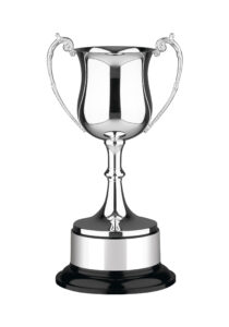 Leading Trophy Cup Supplier in Australia