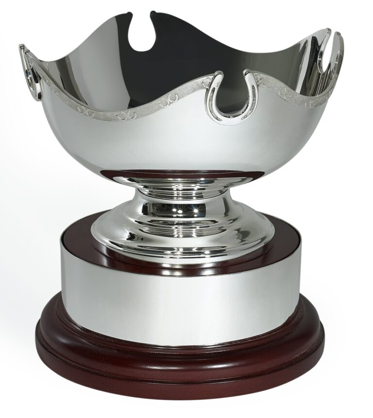 Silver Plated trophy bowl with silver plated horse shoe trim