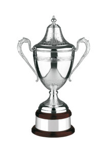 Feather patterned trophy