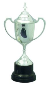 Silver plated cup trophies for Sporting & Racing