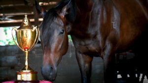 Darwin Cup Horse Racing Trophy Supplier