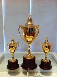 Darwin Cup Trophy Set Supplier