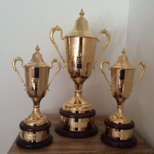 PR Railway Stakes set of 3 Gold Trophy Cups